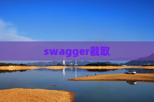 swagger截取